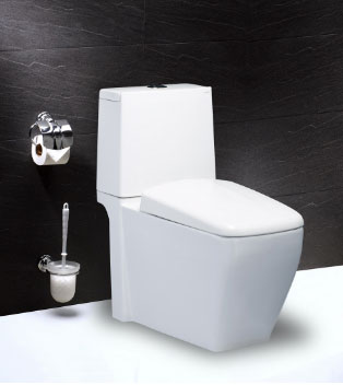 Bàn Cầu Hai Khối Nắp Êm - CD1346