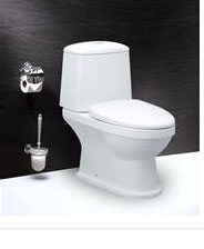 Bàn Cầu Hai Khối - CD1530