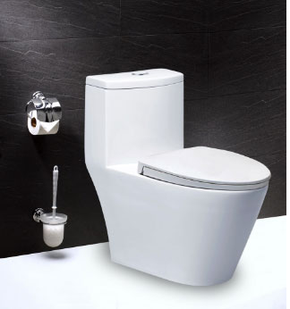 Bàn cầu một khối CD1363