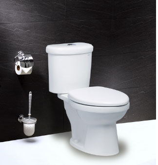 Bàn Cầu Hai Khối (Nắp Êm) - CT1338 ( CTS1338)